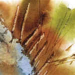 III