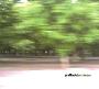 Formless