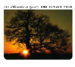 The Sunset Tree