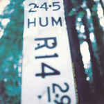 Comin' Home b/w Puppets