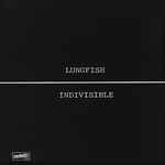 Indivisible