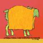 Andrew Bird And the Mysterious Production of Eggs